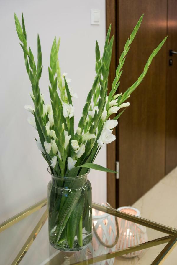 Chłapowo Stella Resort & Spa מראה חיצוני תמונה